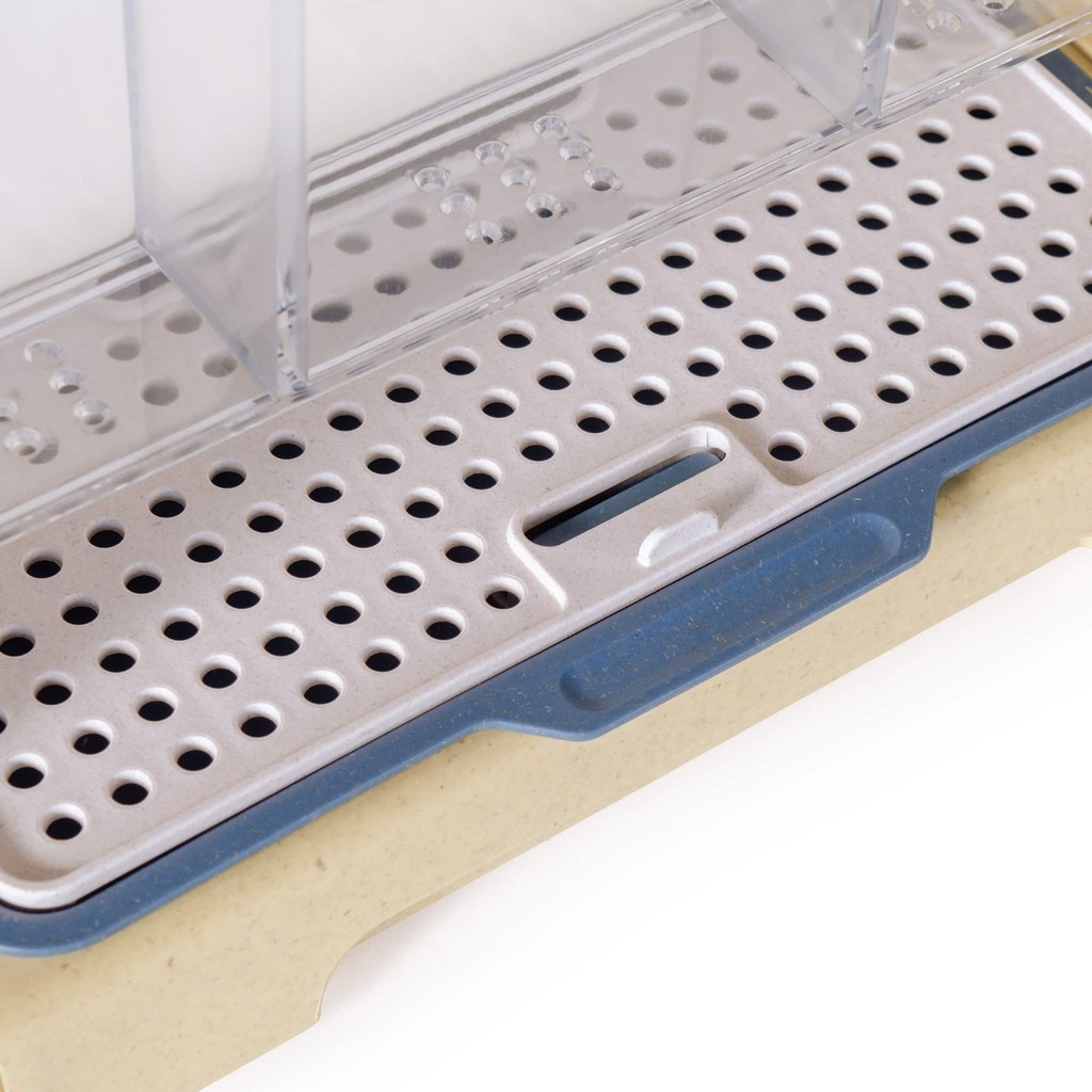 Durchsichtiges Pflanzgefäß