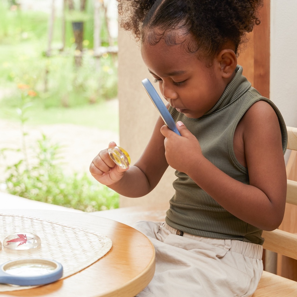 Acryltiere - Pflanzen