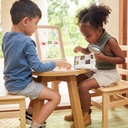 Display für Acryltiere