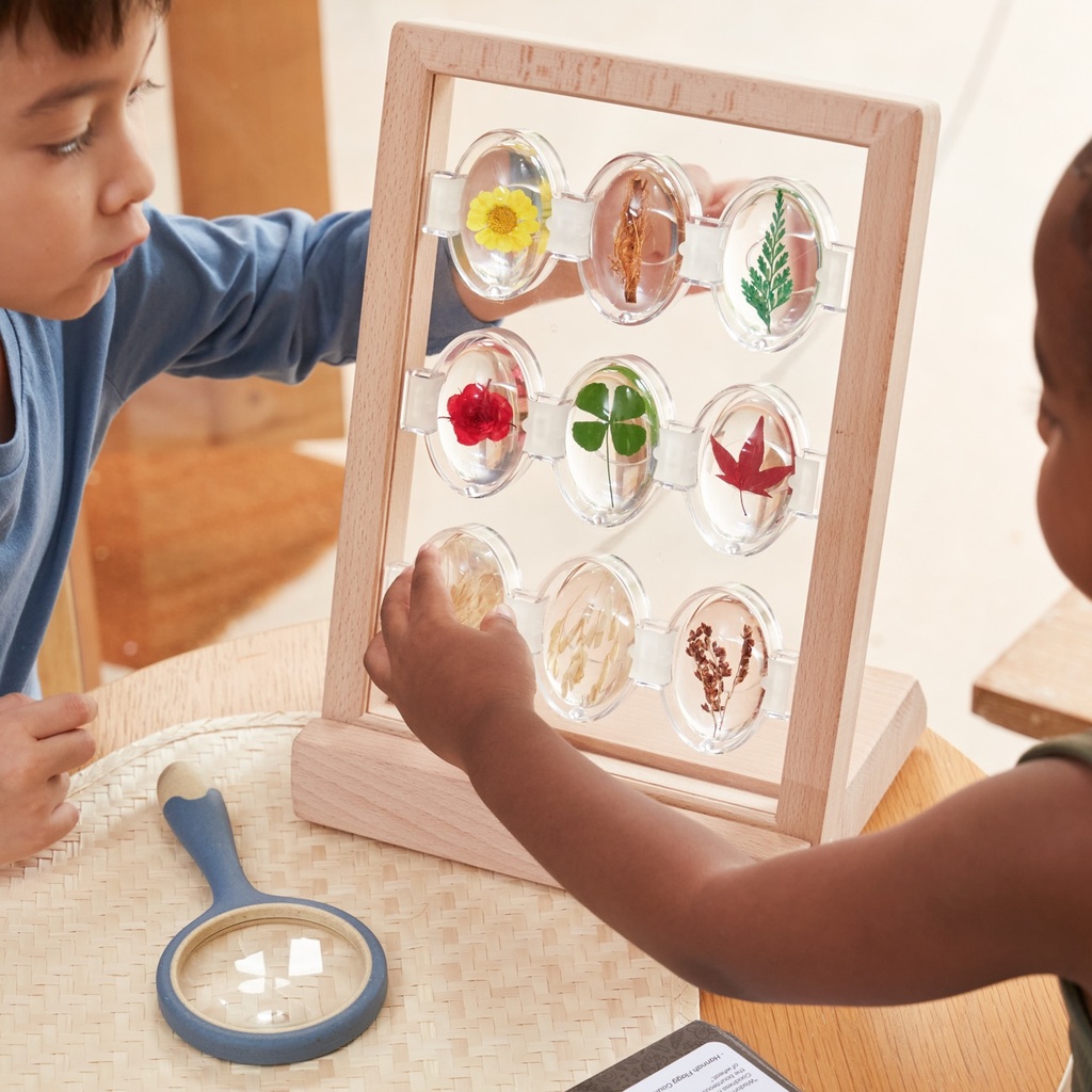 Display für Acryltiere