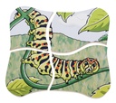 Lagen-Puzzle "Schmetterling"