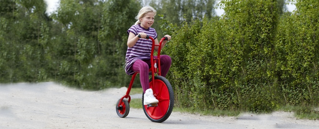 VIKING EXPLORER Hochrad klein