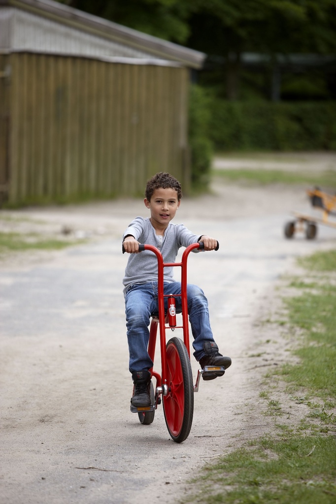 VIKING EXPLORER Hochrad klein