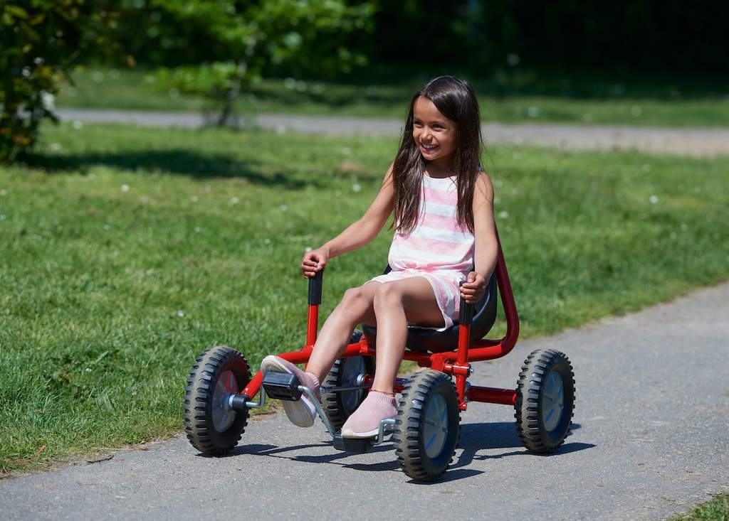 Viking Explorer Fun Cart Large