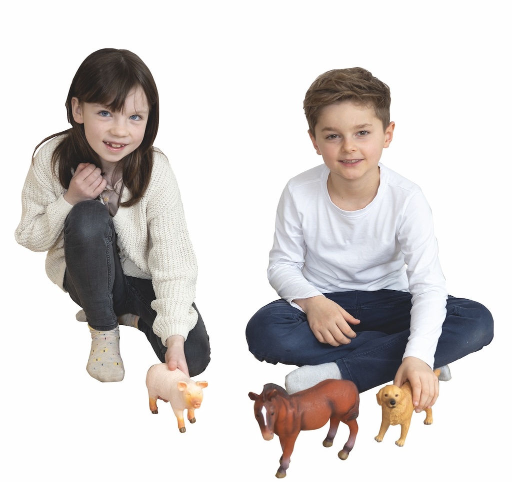 Bauernhof-Tiere, 5 teilig