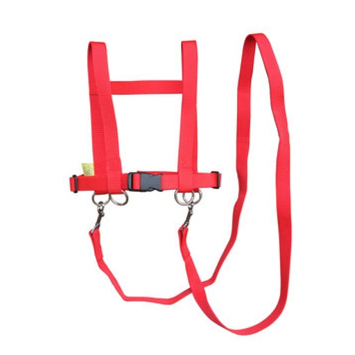 [105183] Größenverstellbare Pferdespielleine